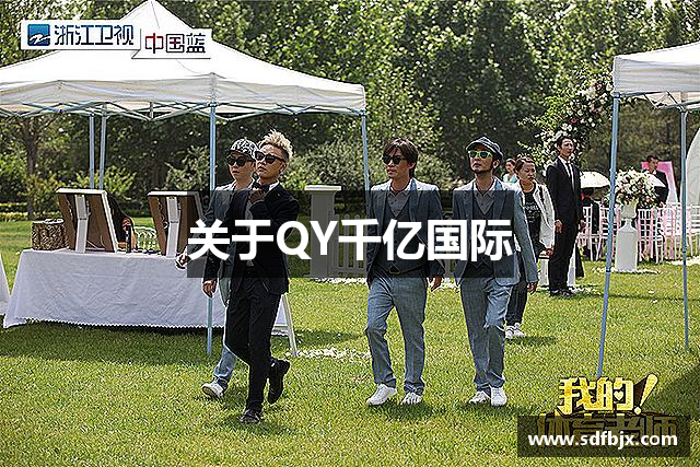 关于QY千亿国际